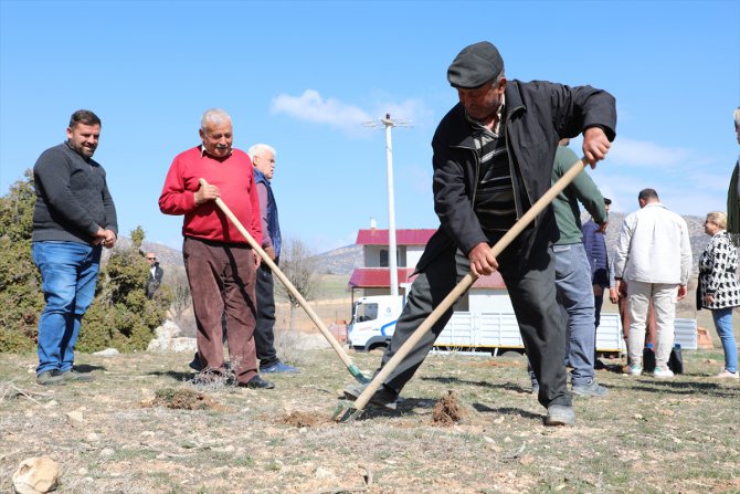 Antalya'da Antep fıstığı yetiştiriciliği için örnek bahçeler kuruldu