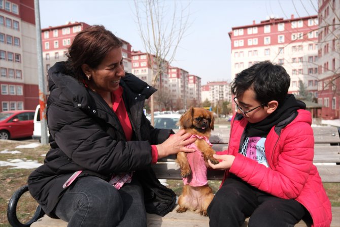 Depremde enkazdan kurtarılan köpek "Tarçın"ı Bingöllü hayvansever sahiplendi