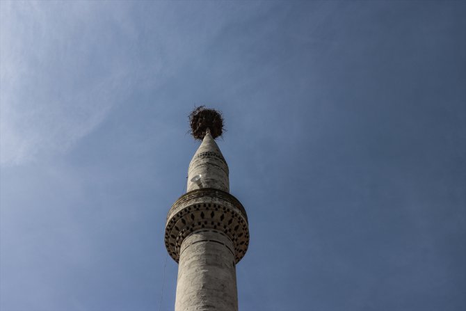 Osmaniye'de yıllardır leyleklerin yuva yaptığı minare depremde ağır hasar gördü