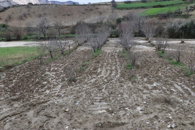 Adıyaman'da selden etkilenen tarım arazilerindeki hasar tespit ediliyor