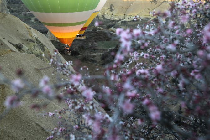 Kapadokya'da balonlar çiçek açan ağaçlarla kaplı vadilerde uçtu