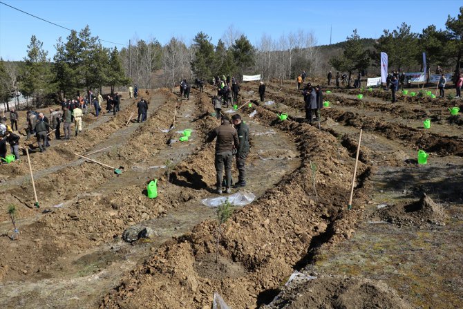 Kastamonu ve Sinop'ta "6 Şubat Deprem Şehitleri Hatıra Ormanı" oluşturuldu