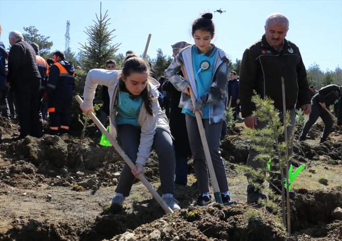 Kastamonu ve Sinop'ta "6 Şubat Deprem Şehitleri Hatıra Ormanı" oluşturuldu