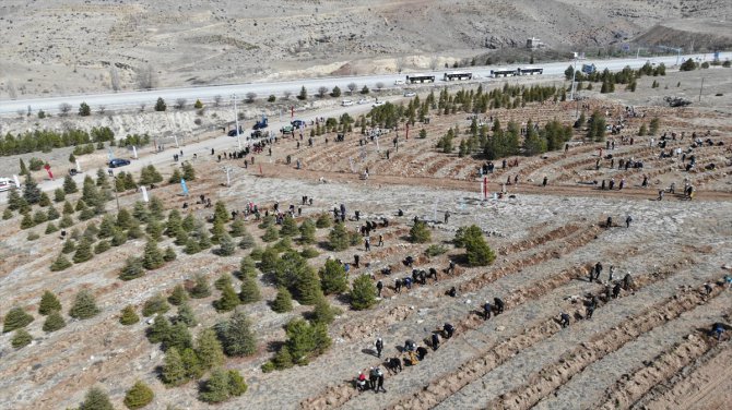 Konya'da depremde hayatını kaybedenler anısına fidan dikildi