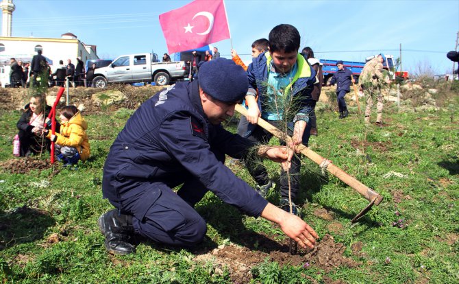 Sinop'ta depremde hayatını kaybedenler için hatıra ormanı oluşturuldu
