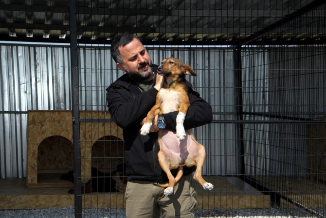 Sinop'ta hayvanseverlerce kurulan "Scak Yuvam" sahipsiz hayvanların yeni evleri olacak