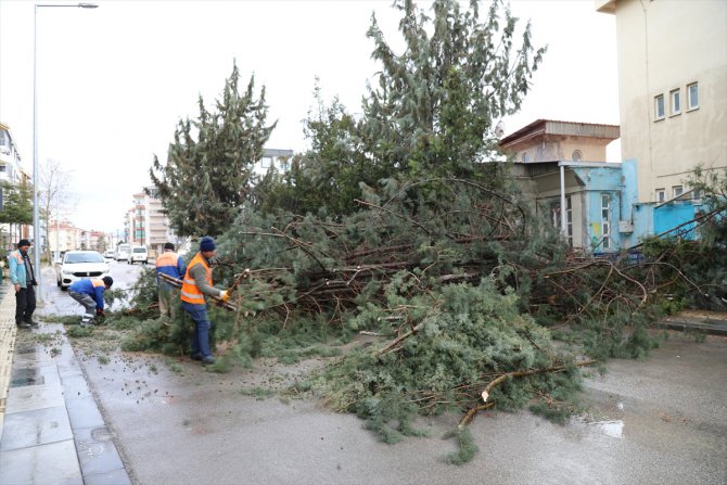 Ankara Çubuk'ta kuvvetli rüzgar nedeniyle ağaç otomobilin üzerine devrildi