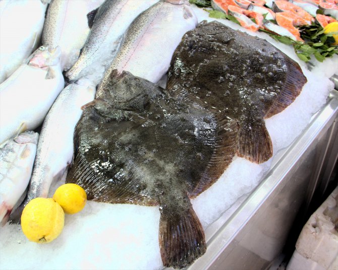 Sinop'ta kalkan balığının kilosu 400 liraya düştü