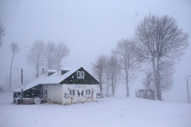 Trabzon'un yüksek kesimlerinde kar yağışı etkili oldu