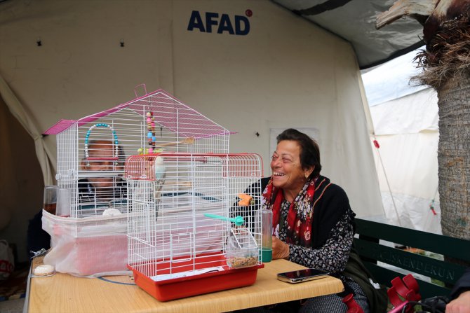 Depremzede aileler, çadır kentte muhabbet kuşu ve papağanla ilgilenerek vakit geçiriyor