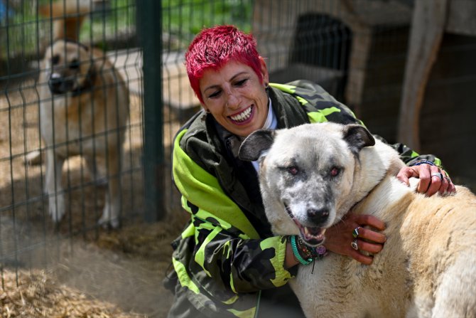 Depremden yaralı kurtarılan sahipsiz köpek artık daha "Güçlü"