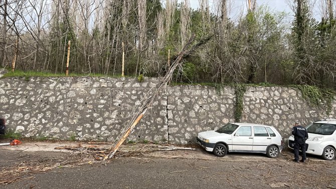 Karabük'te kuvvetli rüzgar nedeniyle devrilen ağaç araçlara zarar verdi