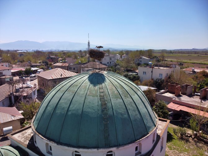 Osmaniye'de ağır hasar alan minaredeki leylek yuvası cami kubbesine taşındı