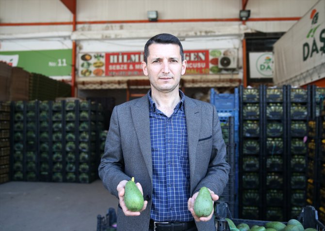 Alanya'da bu sezon avokado üretimi 80 milyon adede ulaştı