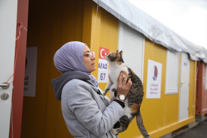 Depremden 36 gün sonra bulduğu "Mia" adlı kedisine konteyner kentte bakıyor