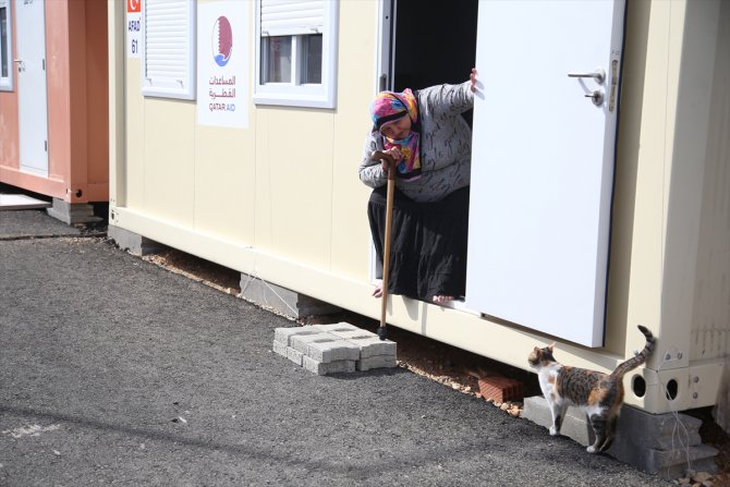Depremden 36 gün sonra bulduğu "Mia" adlı kedisine konteyner kentte bakıyor