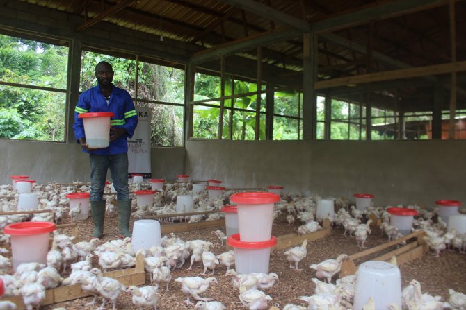 Kamerun'da TİKA, kadın derneğine tavukçuluk desteği sağladı