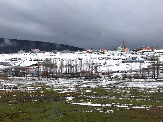 Ardahan'ın yüksek kesimlerinde kar yağışı etkili oldu