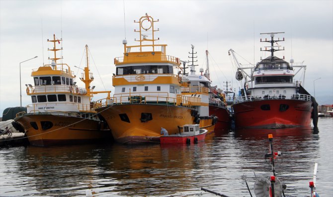 Sinop'ta balıkçılar verimli geçen sezonun mutluluğunu yaşıyor