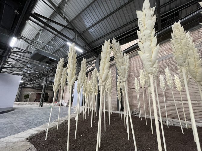 Adana tarım, sanayi ve kent müzeleri ziyaretçilere hazırlanıyor