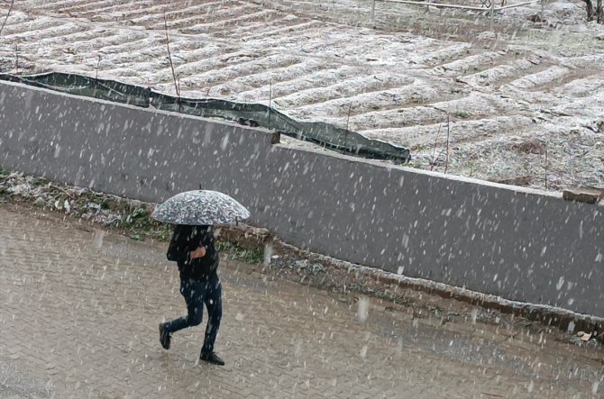 Muş, Bitlis ve Hakkari'nin yüksek kesimlerinde kar etkili oldu
