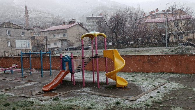 Muş, Bitlis ve Hakkari'nin yüksek kesimlerinde kar etkili oldu