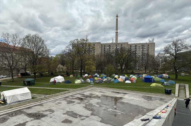Çevreciler biyoçeşitlilik krizine dikkati çekmek için Berlin'in merkezinde kamp kurdu
