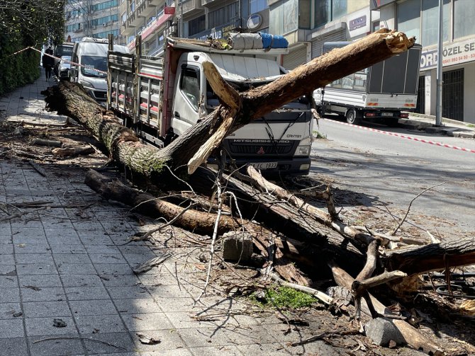 Kağıthane'de devrilen ağacın altında kalan kamyonette hasar oluştu