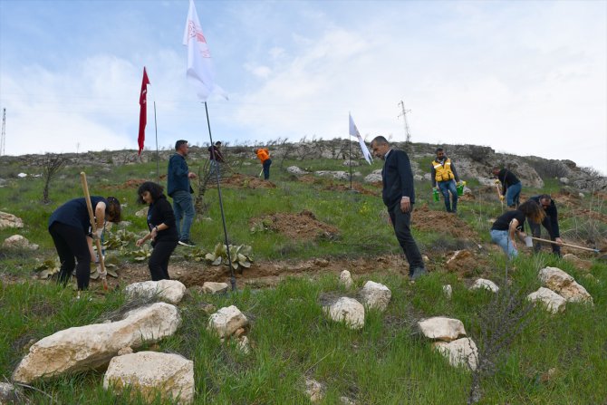 Dokuz Eylül Üniversitesi Malatya Hatıra Ormanı'nda ilk fidanlar toprakla buluştu