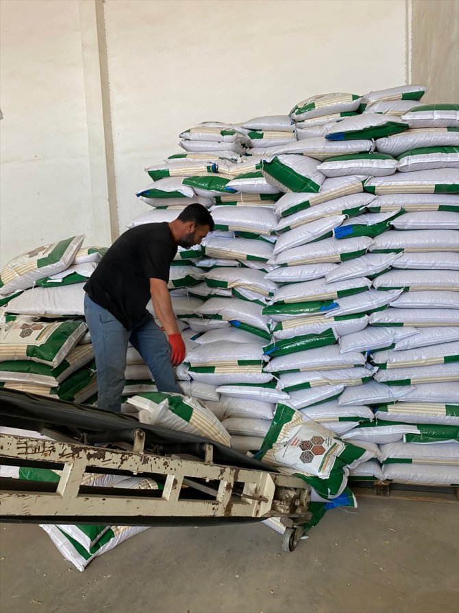 Mersin'de üretilen 13 ton barbunya tohumu depremzede çiftçilere dağıtılacak