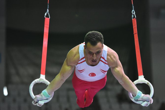 10. Avrupa Artistik Cimnastik Şampiyonası