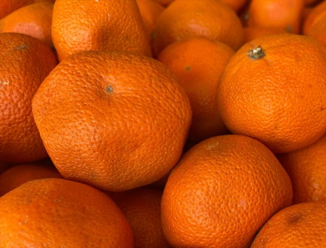 Türkiye'nin turunçgil ihracatı yılın ilk çeyreğinde yüzde 12 arttı