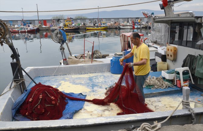 Marmara Denizi'nde limana demirleyen Karamürselli balıkçılar sezondan memnun