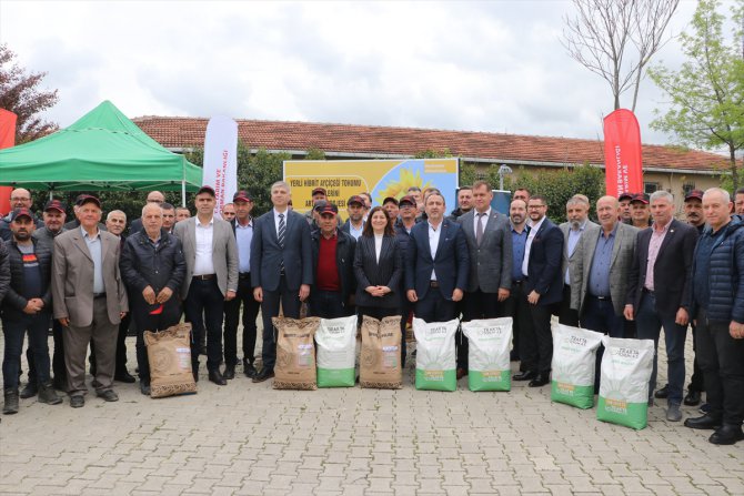 Edirne'de üreticilere hastalıklara dayanıklı yerli hibrit ayçiçeği tohumu dağıtıldı