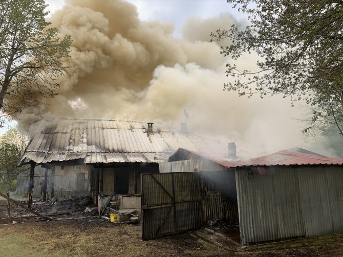 Sakarya'da yangın çıkan tek katlı ev ile baraka kullanılamaz hale geldi