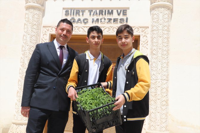Siirt'te 35 okula 3 bin sertifikalı sebze fidesi dağıtıldı