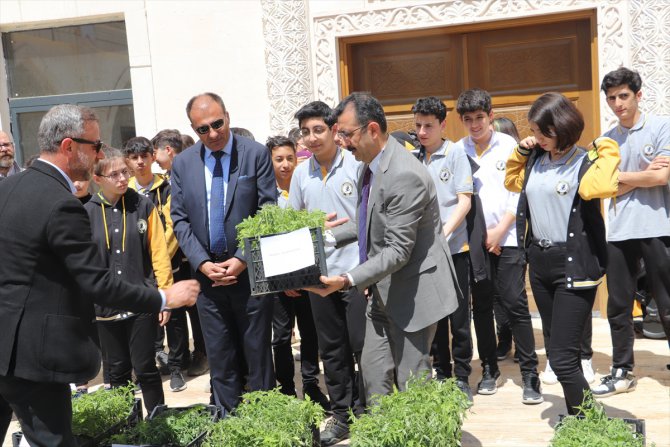 Siirt'te 35 okula 3 bin sertifikalı sebze fidesi dağıtıldı