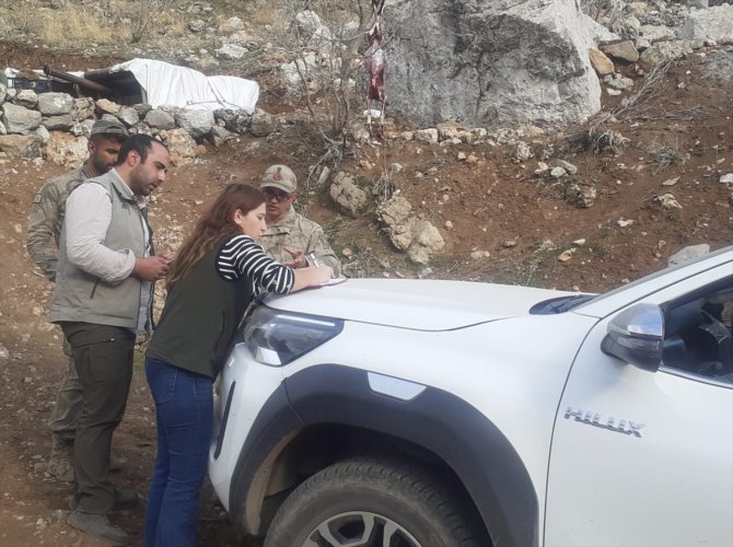 Şırnak'ta yaban keçisi avlayan 2 kişiye 265 bin lira ceza