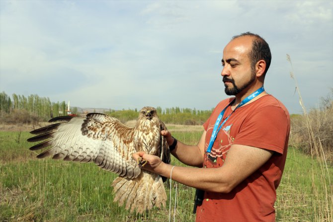 Afrika ve Rusya arasındaki mola noktası Iğdır'da kuş halkalaması başladı