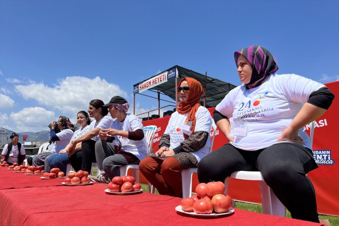 Antalya'da kadınlar domates yeme ve kasa taşıma yarışmasında mücadele etti