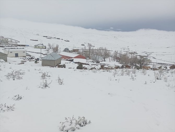 Bingöl'ün yüksek kesimlerinde kar etkili oldu