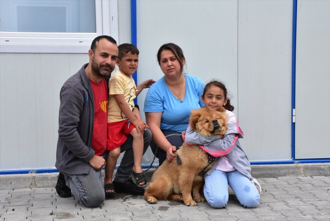 Depremden dakikalar önce köpeklerinin uyandırdığı aile, can dostlarını yanından ayırmıyor