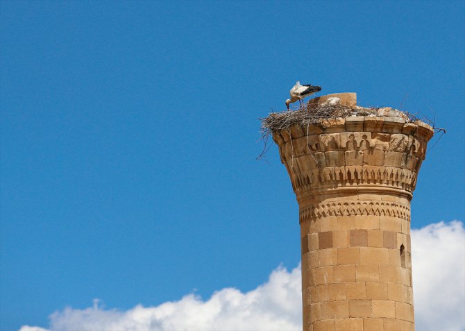 Kahramanmaraş depreminde şerefesi yıkılan minare leyleklere yuva oldu