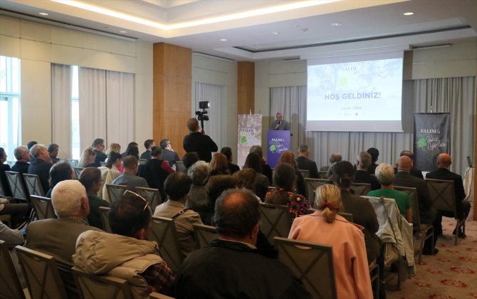 İzmir'de "Falımla Yeşeren Sakız Ağaçları Projesi" tanıtıldı