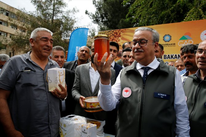 Diyarbakır'da üreticilere arılı kovan ve yem bitkisi dağıtıldı