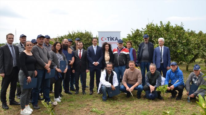 TİKA'dan Karadağ'da arıcılığın gelişimine destek