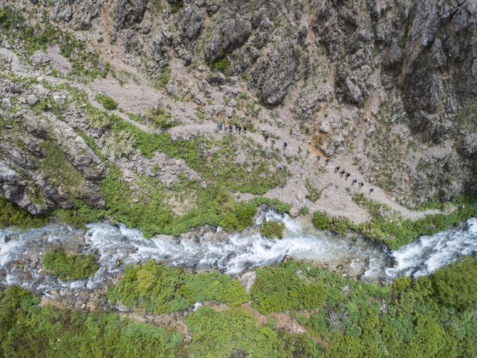 Tunceli'nin dağlarında ters lalelerin manzarası eşliğinde doğa gezisi yapıyorlar