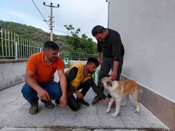 Çorum'da kapının demir parmaklıklarına sıkışan köpek kurtarıldı