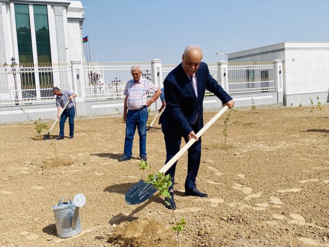 Türkmenistan’da Haydar Aliyev anısına ağaç dikildi