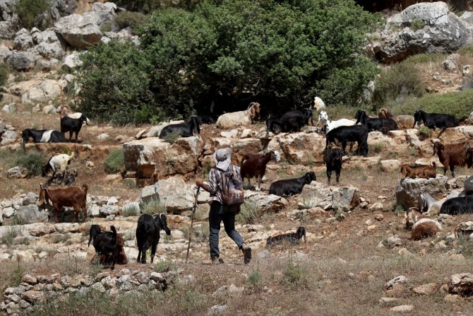 Yahudi yerleşim birimlerinin arasında kalan Filistin toprağı: Vadi Kana